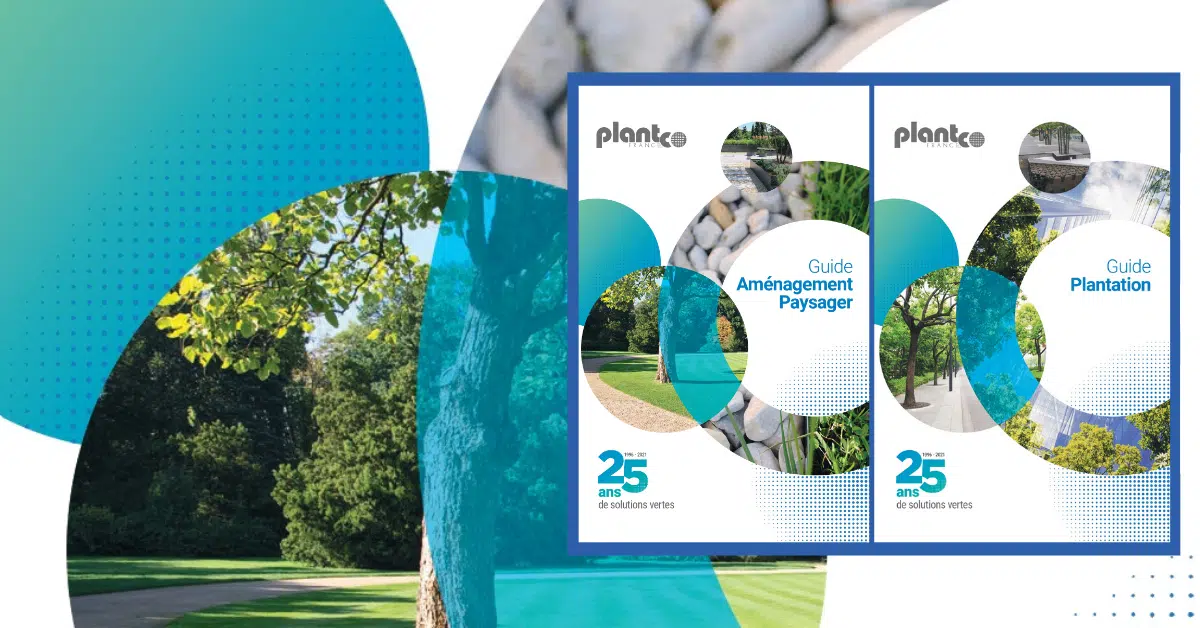 Catalogue Plantco Catalogue Plantco