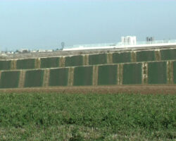 Paillages Synthethiques Tweed