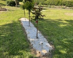 Feutre de paillage biodégradable