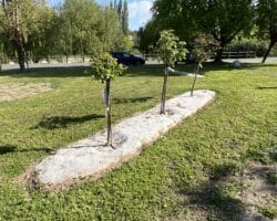 Feutre de paillage biodégradable