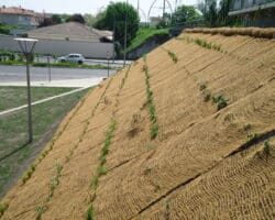 Filet Coco pour stabilisation de berges