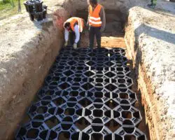 rootstock abre urbain