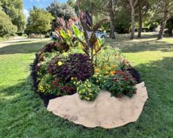 Long Last Chauvigny 2