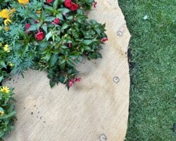 Long Last Chauvigny 1