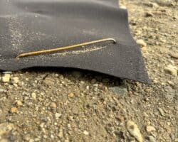 Paillage biodégradable PLA C