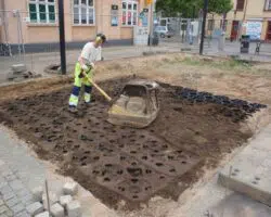 Rootstok chantier