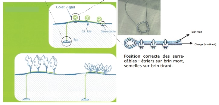 antivol vegetaux arbres