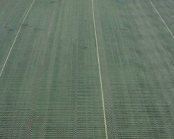 paillage plantco synthetique