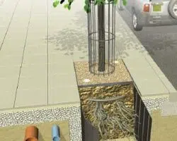 plantcotex-racine barriere