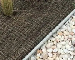 bordure toit vegetal greenroof