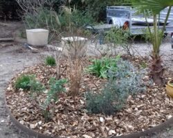 jardin bordure bois composite