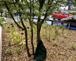 Sac d'arrosage à libération lente d'eau pour végétaux et arbres