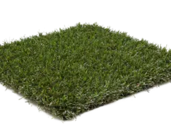 gazon synthétique cityturf