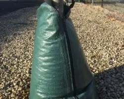 sac arrosage waterbag plantco