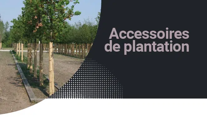 accessoires plantation