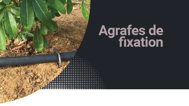 agrafes de fixation