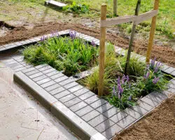 jardin de pluie hydroplanter