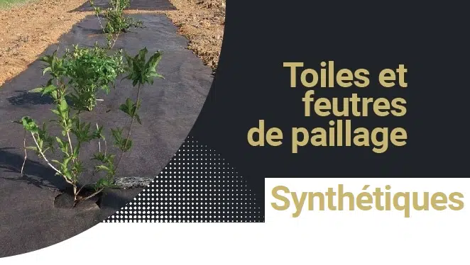 paillages synthetiques