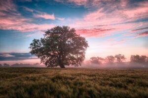 nature economie circulaire