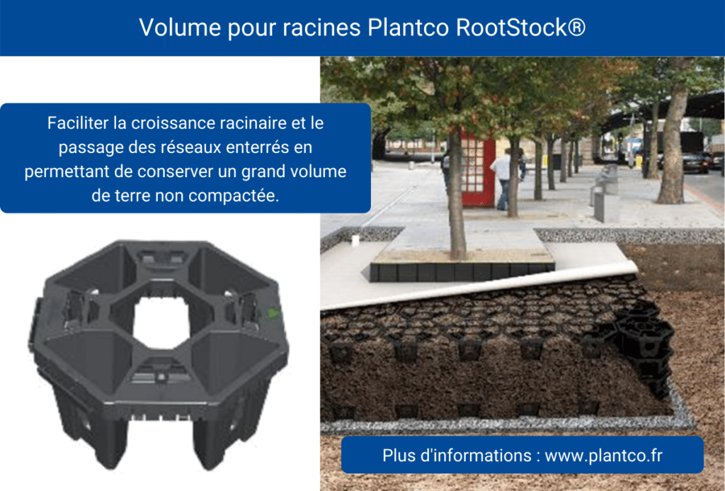 RootStock-Chatellerault-Cros-12