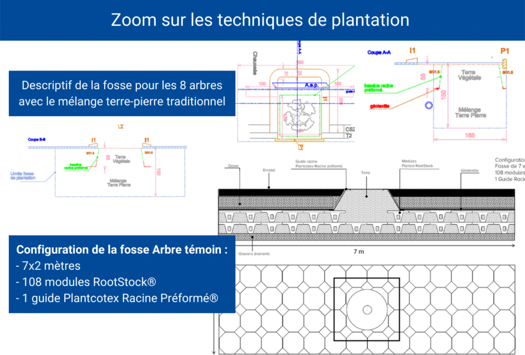 RootStock-Chatellerault-Cros-3