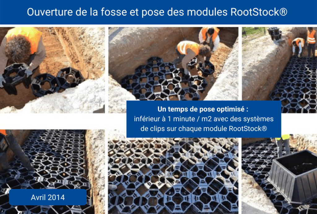RootStock-Chatellerault-Cros-4