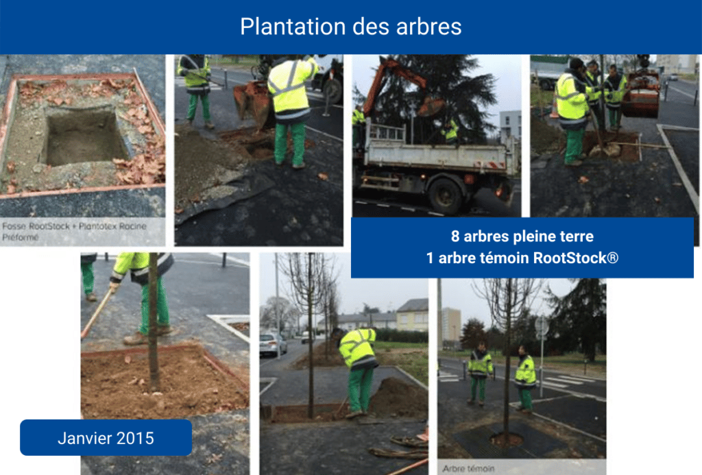 RootStock-Chatellerault-Cros-6