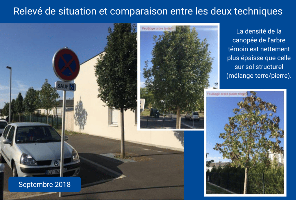 RootStock-Chatellerault-Cros-7