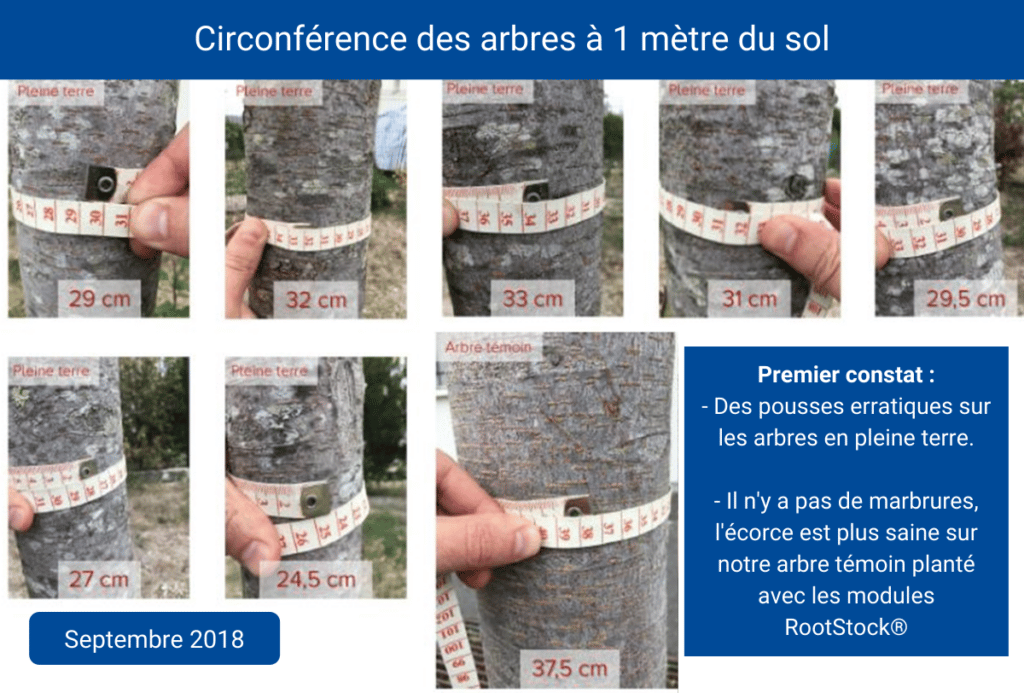 RootStock-Chatellerault-Cros-8