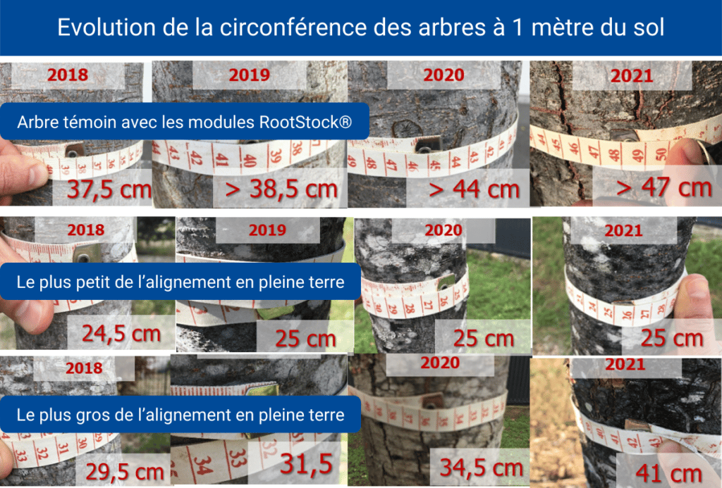 Rootstock Châtellerault (1)