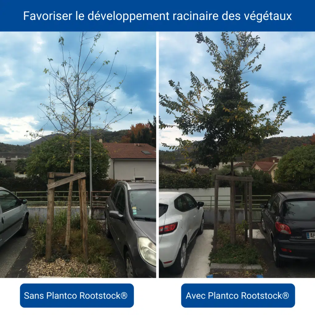 Module Rootstock comparaison