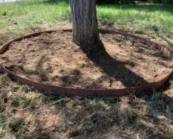 bordure tour arbre cercle preforme