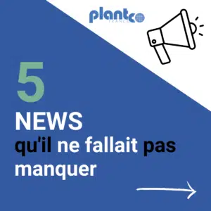 Plantco – News 25.10.22 p1