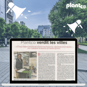 Plantco interview