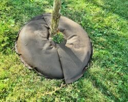 Coussin d'arrosage à libération lente d'eau pour végétaux
