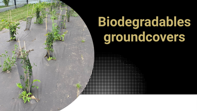 Biodegradables groundcovers