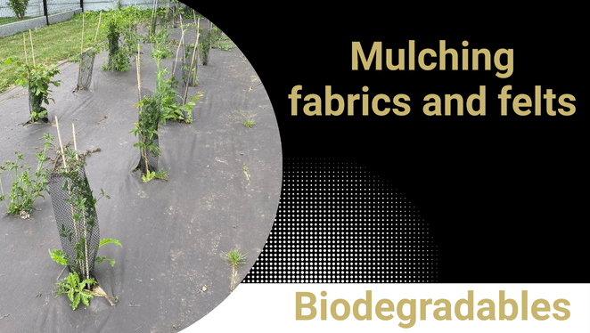 Biodegradable groundcover