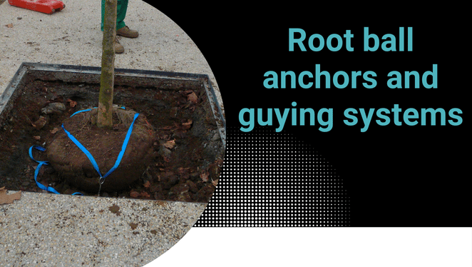 Root ball anchors