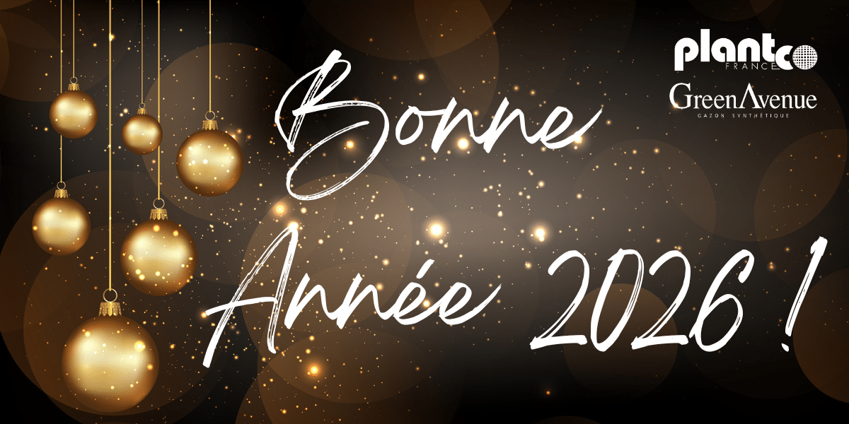 Bonne année 2026