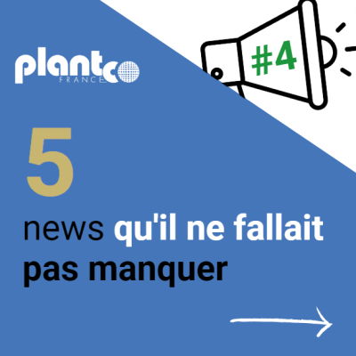 5 news #4 – Plantco France