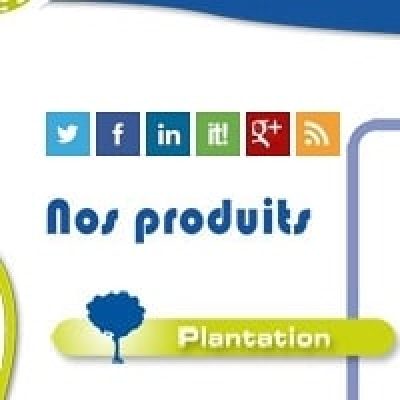 departement plantation plantco france