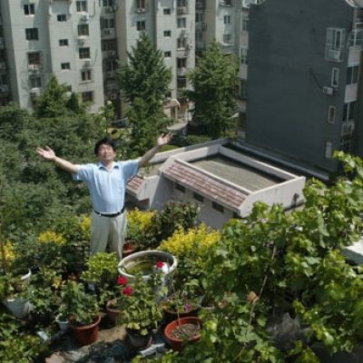 jardins toits beijing