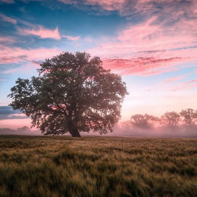 nature economie circulaire